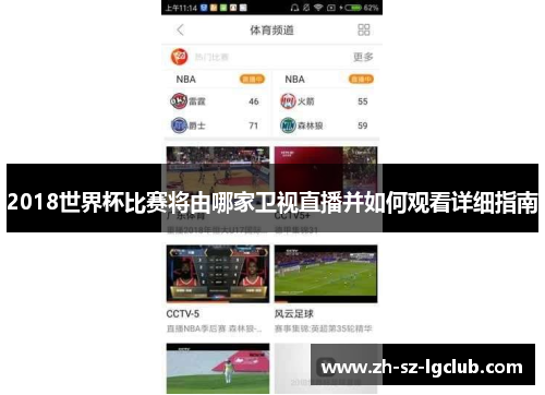 2018世界杯比赛将由哪家卫视直播并如何观看详细指南
