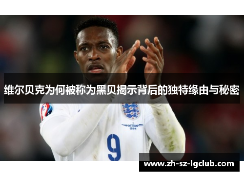 维尔贝克为何被称为黑贝揭示背后的独特缘由与秘密