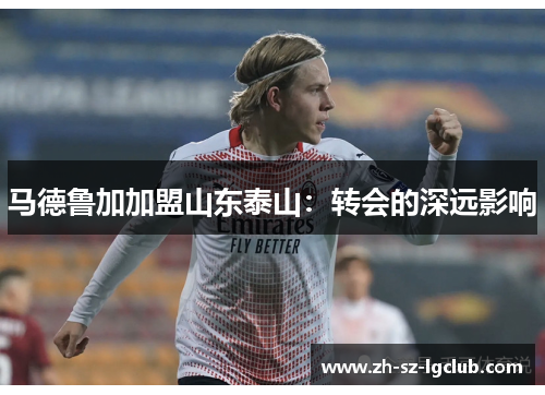 马德鲁加加盟山东泰山：转会的深远影响