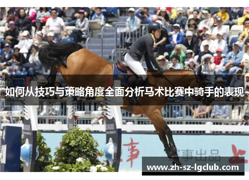 如何从技巧与策略角度全面分析马术比赛中骑手的表现