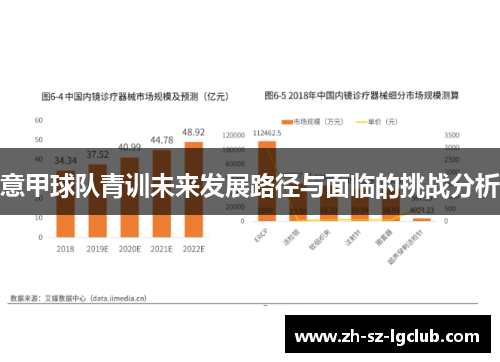 意甲球队青训未来发展路径与面临的挑战分析 意甲球队青训未来发展路径与面临的挑战分析
