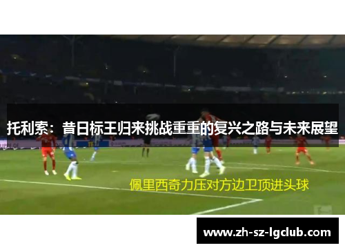 托利索：昔日标王归来挑战重重的复兴之路与未来展望