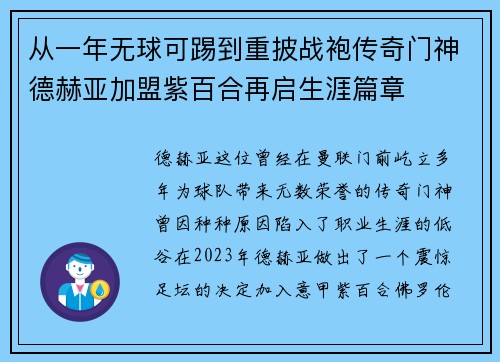 从一年无球可踢到重披战袍传奇门神德赫亚加盟紫百合再启生涯篇章 从一年无球可踢到重披战袍传奇门神德赫亚加盟紫百合再启生涯篇章